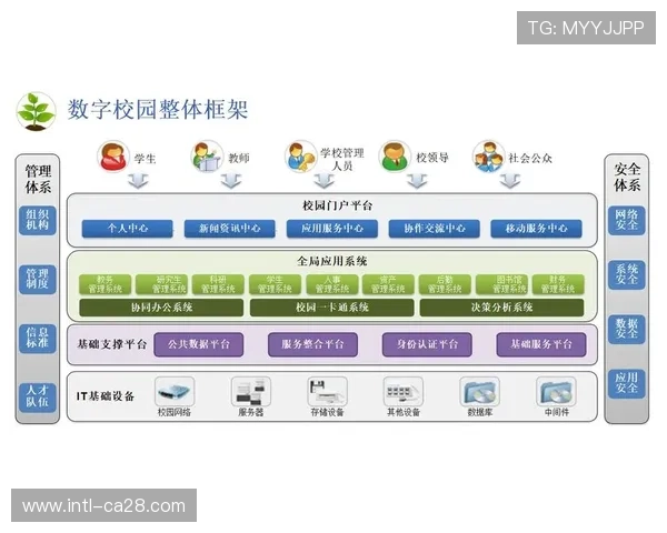 体育数字化生态逐步构建，推动产业链上下游协同创新