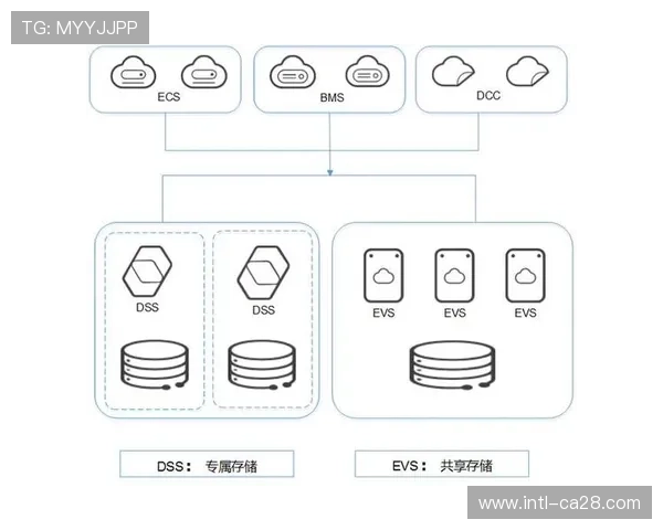 分布式存储与多链路传输保障信号稳定性，应对突发流量与故障风险